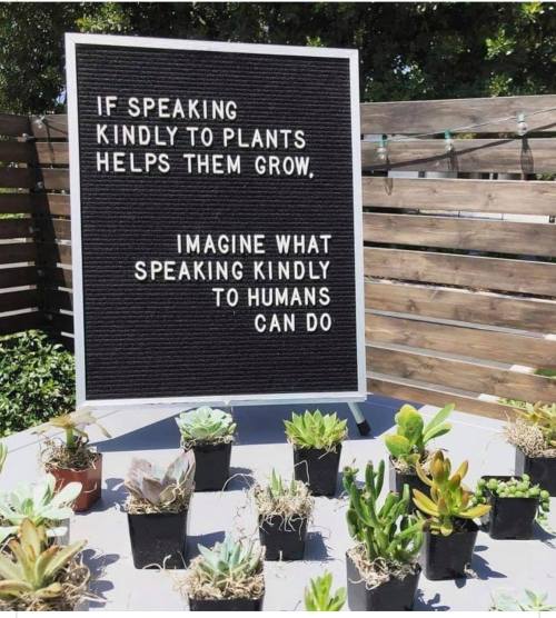 A sign reads: "If speaking kindly to plants helps them grow, imagine what speaking kindly to humans can do." Surrounded by small plants.