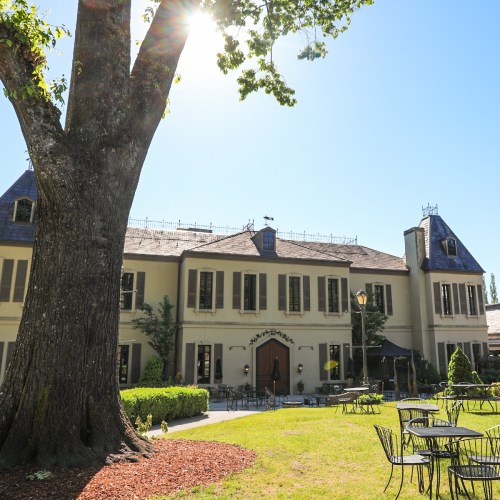A sunny view of a large building with a tree in the foreground and outdoor seating in a landscaped area.