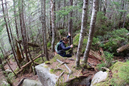 A person climbs over a large rock in a dense forest, surrounded by trees and greenery.