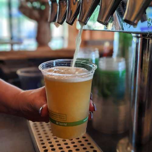 A hand holds a clear cup as beer pours from a tap into it, with a blurred background of greenery.