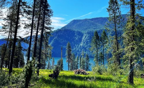 A serene landscape featuring tall trees, a clear blue sky, and a tranquil lake surrounded by mountains.