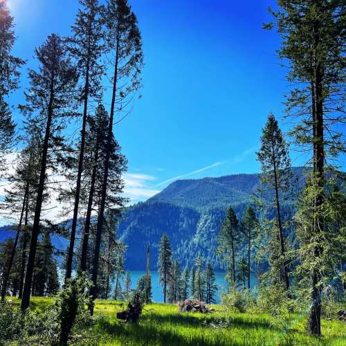 A serene landscape featuring tall trees, a clear blue sky, and a tranquil lake surrounded by mountains.