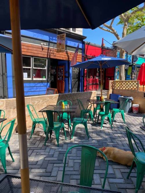 Outdoor café scene with green chairs and tables, umbrellas, and a dog resting on the ground. Colorful buildings in the background.