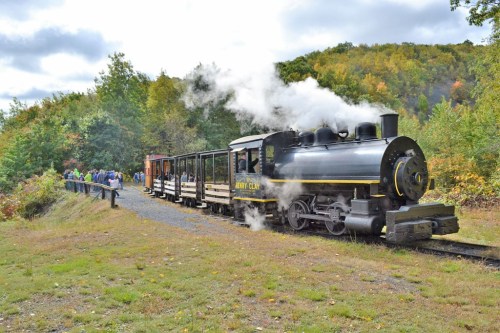 A steam train with a black engine and wooden cars, surrounded by trees and a group of people on a path nearby.