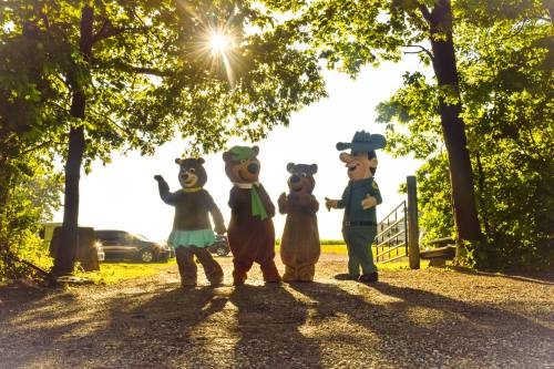 Four bear mascots stand in a sunlit outdoor setting, surrounded by trees, with a gravel path in the foreground.