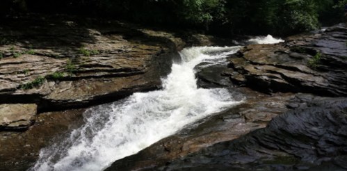 A rushing river flows over rocky terrain, surrounded by lush greenery and dappled sunlight.
