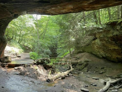 A serene forest scene viewed from a cave entrance, featuring a path, a wooden bridge, and lush greenery.