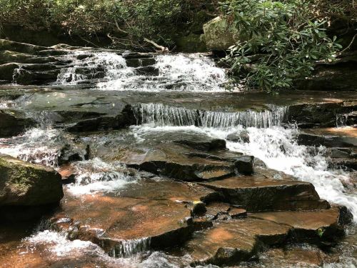 A serene stream flows over rocky terrain, surrounded by lush greenery and gentle cascades of water.