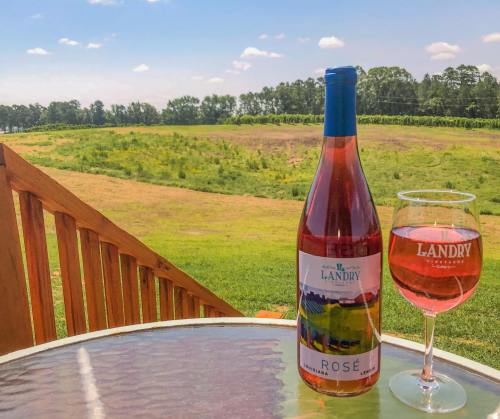 A bottle and glass of rosé wine on a table, with a scenic vineyard and blue sky in the background.