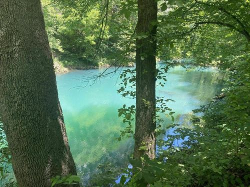 A serene, turquoise pond surrounded by lush green trees and foliage. Sunlight filters through the leaves.
