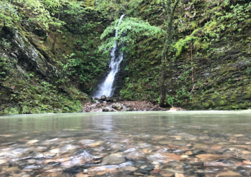 A serene waterfall cascades down a mossy rock face into a calm, clear pool surrounded by lush greenery.