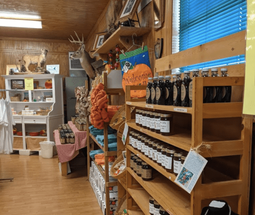 A cozy store interior with wooden shelves displaying jars, decorations, and taxidermy, creating a welcoming atmosphere.