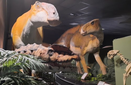 Three dinosaur models and a crocodile display in a museum exhibit, surrounded by greenery and informational signs.