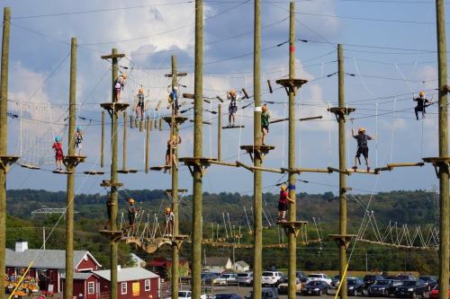 A high ropes course with multiple participants navigating obstacles among tall wooden poles against a scenic backdrop.