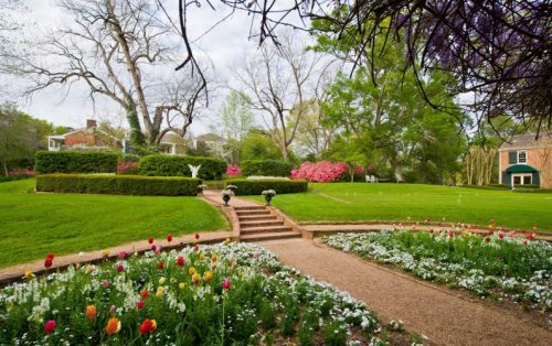 A lush garden with colorful flowers, stone steps, and trees, creating a serene outdoor landscape.