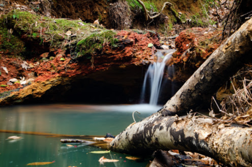 A serene scene featuring a small waterfall flowing into a turquoise pool, surrounded by earthy red rocks and fallen logs.