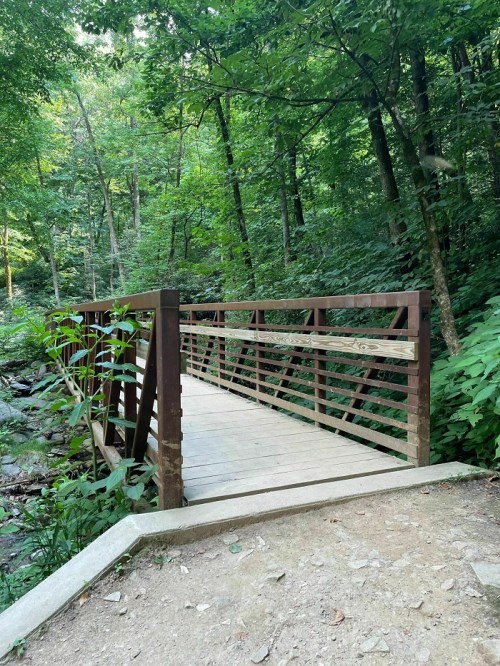A wooden bridge spans a small stream, surrounded by lush green trees in a serene forest setting.