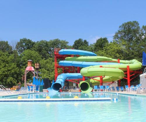 Colorful water slides tower over a clear pool surrounded by lounge chairs and lush green trees under a blue sky.