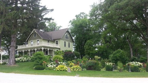 A charming green house surrounded by lush gardens and trees on a sunny day.