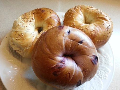 A plate with three bagels: one plain, one with sesame seeds, and one with blueberries.