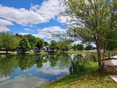 A serene pond surrounded by trees and grassy areas, reflecting a blue sky with fluffy clouds.