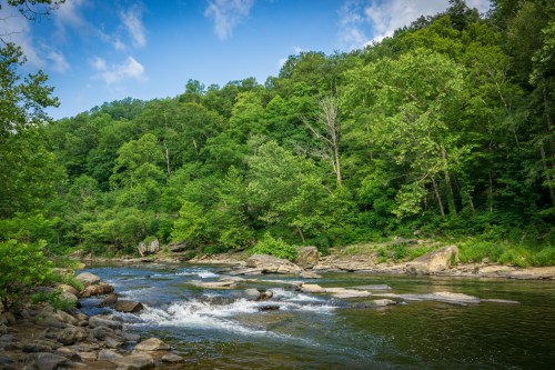 A serene river flows through a lush green forest, with rocky banks and a clear blue sky above.