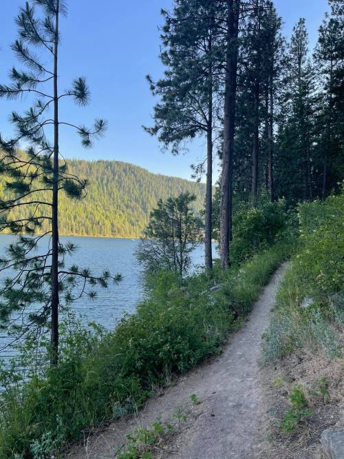A scenic lakeside path surrounded by tall trees and lush greenery, with mountains in the background under a clear blue sky.