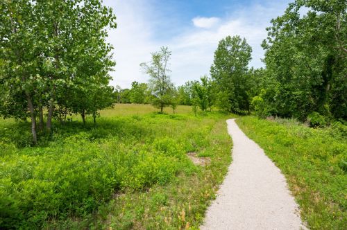 A winding gravel path through a lush green landscape with trees and open fields under a blue sky.
