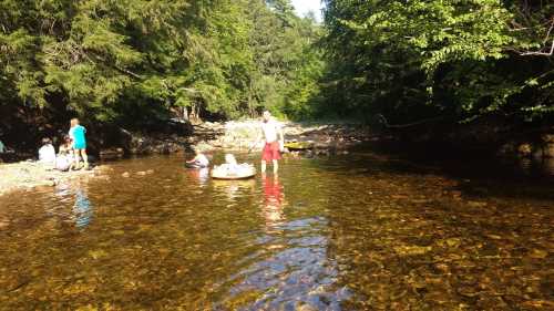 A shallow river with people playing and relaxing on the banks, surrounded by trees and clear water.