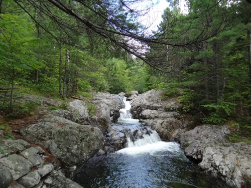 A serene stream flows over rocks, surrounded by lush green trees and a peaceful forest setting.