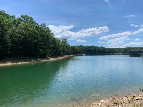 A serene lake surrounded by lush green trees under a bright blue sky with fluffy clouds.