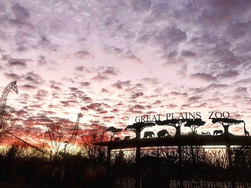 Sunset over the Great Plains Zoo entrance, featuring animal silhouettes against a colorful, cloudy sky.