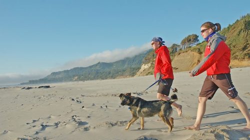 Two people in red jackets walk a dog along a sandy beach with hills in the background on a sunny day.