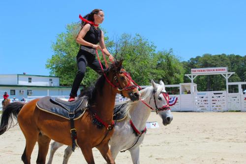 A performer stands on a horse, leading another horse in a sunny outdoor arena decorated for a show.