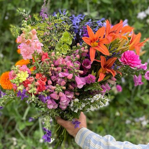 A vibrant bouquet of mixed flowers, including lilies, snapdragons, and zinnias, held in a hand against a green background.