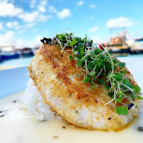 A beautifully plated fish fillet on a bed of rice, garnished with microgreens, against a scenic outdoor backdrop.