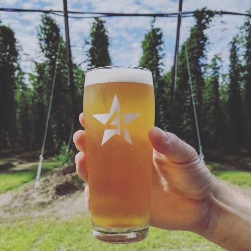 A hand holding a glass of beer with a star logo, surrounded by lush greenery and a blue sky.
