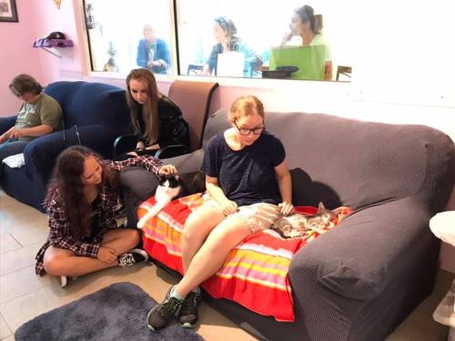 Two girls sit on a couch with cats, while another girl pets a cat on the floor in a cozy, colorful room.