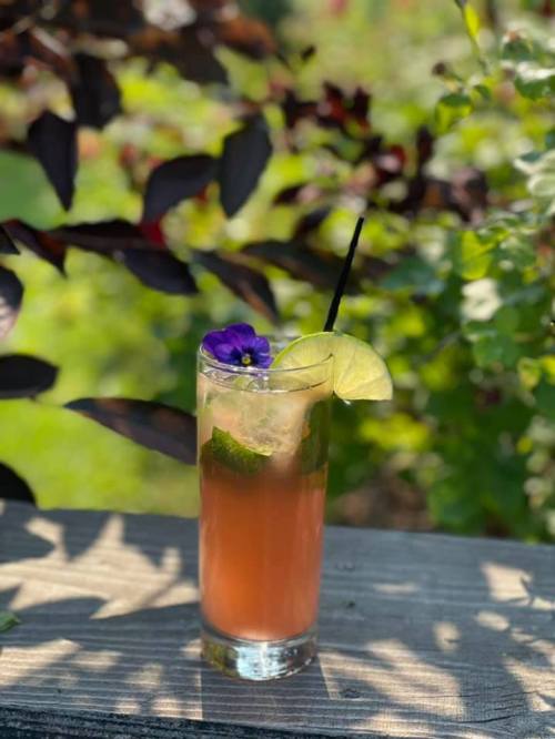 A refreshing cocktail garnished with a purple flower and lime, set against a lush green background.