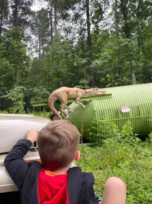 A child in a black and red outfit watches a dinosaur sculpture on a green structure in a wooded area.