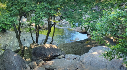 A serene landscape featuring a calm stream surrounded by large rocks and lush green trees.