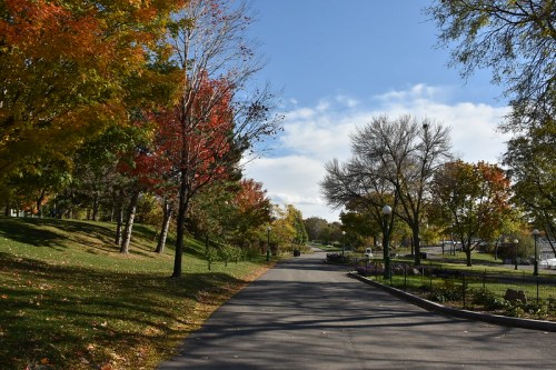A scenic park pathway lined with colorful autumn trees under a partly cloudy sky.