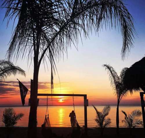 Silhouette of a person on a swing at sunset, framed by palm trees and a tranquil beach scene.