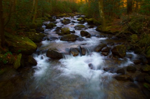 A serene stream flows over smooth rocks, surrounded by lush greenery and trees in a tranquil forest setting.