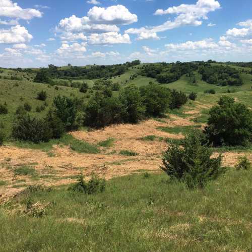 A lush green landscape with rolling hills, scattered trees, and a blue sky filled with fluffy white clouds.