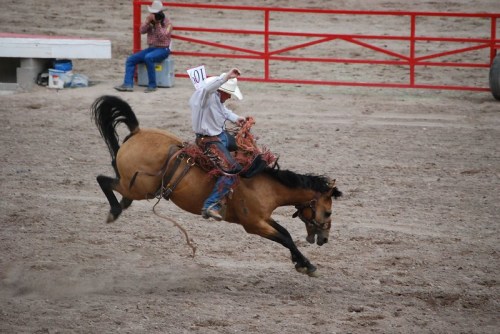 A cowboy rides a bucking horse in a rodeo arena, showcasing skill and excitement.