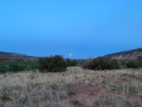 A serene landscape at dusk with a full moon rising over distant hills, framed by sparse vegetation and grass.