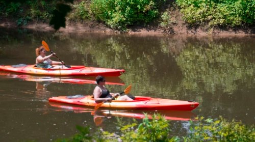 Two people kayaking on a calm river, surrounded by lush greenery and reflections in the water.