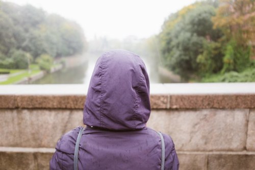 A person in a purple hooded jacket stands by a river, facing away, surrounded by lush greenery and misty weather.