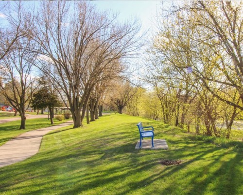 A peaceful park scene featuring a blue bench along a grassy path lined with trees and sunlight filtering through the leaves.